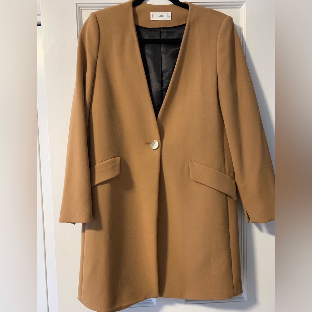 Zara Tan Blazer Jacket